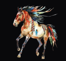 Dizzy Donkey Saloon T-shirt